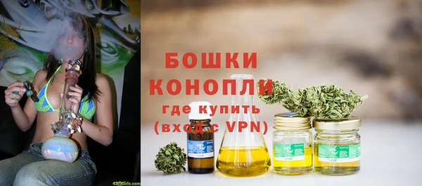 крисы Богородицк