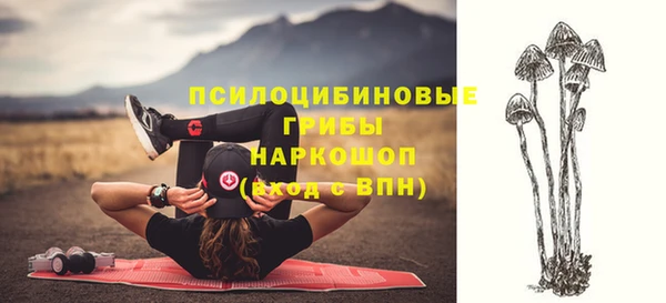 крисы Богородицк