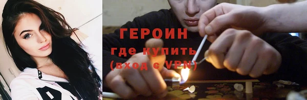 крисы Богородицк