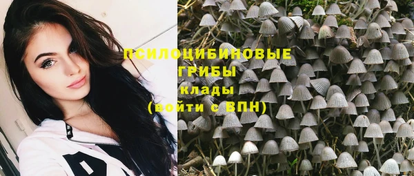 прущий лед Богородск