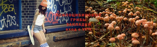 крисы Богородицк