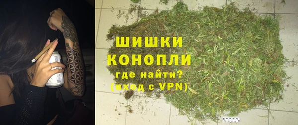 крисы Богородицк
