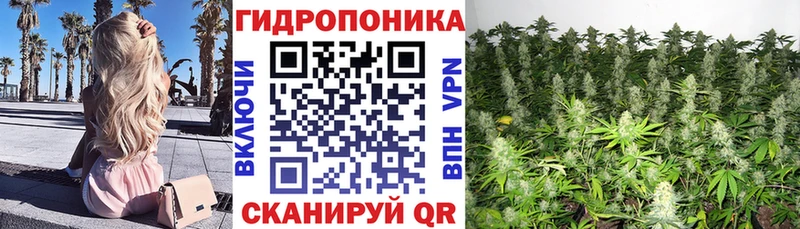 Бошки марихуана MAZAR  сколько стоит  Благодарный 